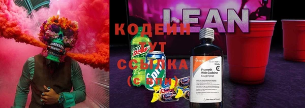 твердый Абаза