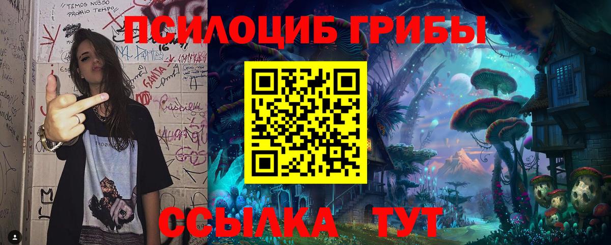 Псилоцибиновые грибы прущие грибы  Галлюциногенные грибы прущие грибы  Ярославль  Вход с VPN 