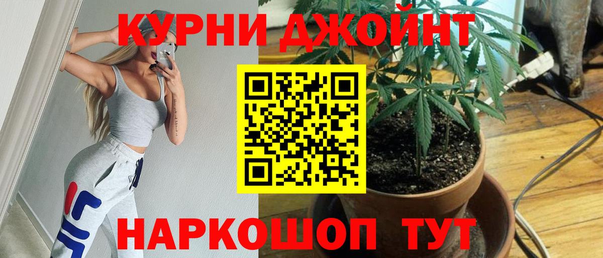 Конопля SATIVA & INDICA  Конопля тримм  Ярославль  МАРИХУАНА LSD WEED  Конопля планчик  Вход с VPN 