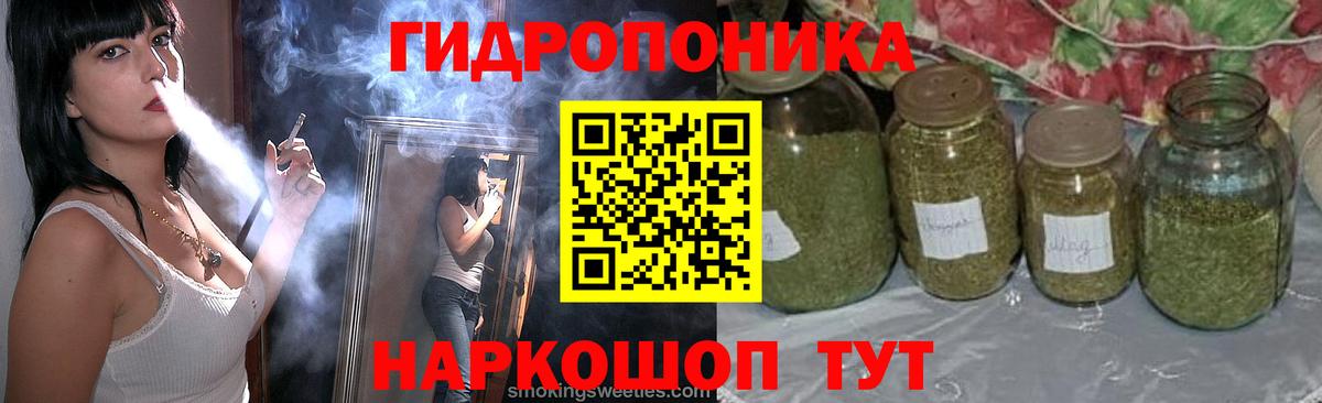 Бошки марихуана THC 21% Ярославль